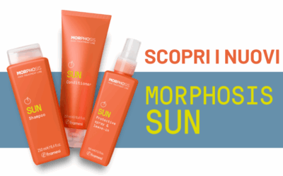 Morphosis SUN